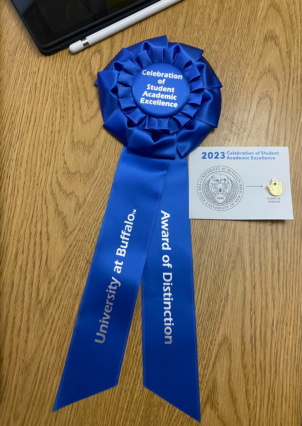 Excellence in Research, Scholarship & Creativity Award 2023